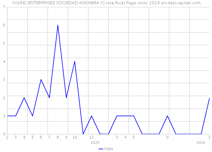YOUNG ENTERPRISES SOCIEDAD ANONIMA (Costa Rica) Page visits 2024 