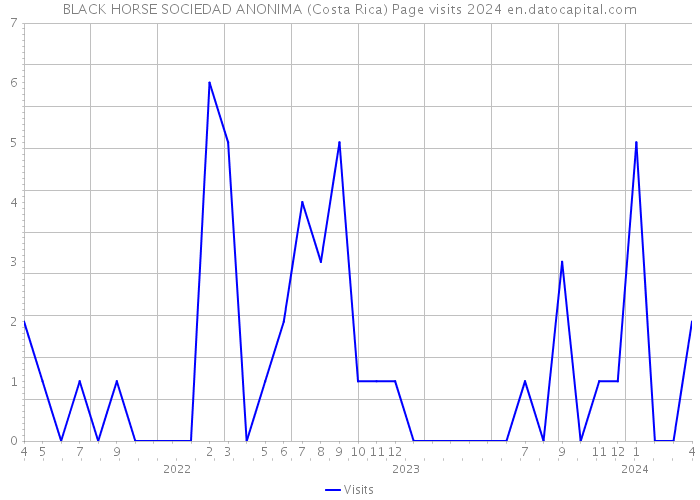 BLACK HORSE SOCIEDAD ANONIMA (Costa Rica) Page visits 2024 