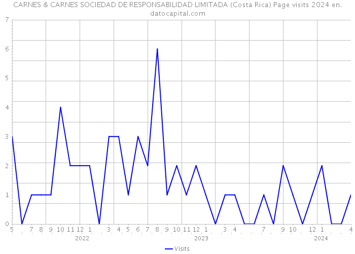 CARNES & CARNES SOCIEDAD DE RESPONSABILIDAD LIMITADA (Costa Rica) Page visits 2024 