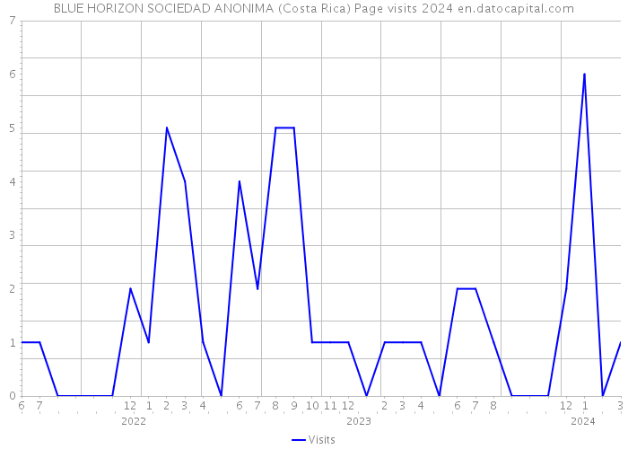 BLUE HORIZON SOCIEDAD ANONIMA (Costa Rica) Page visits 2024 