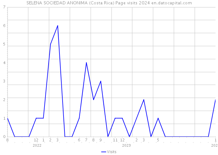 SELENA SOCIEDAD ANONIMA (Costa Rica) Page visits 2024 
