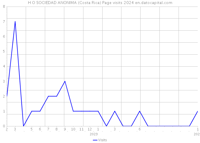 H O SOCIEDAD ANONIMA (Costa Rica) Page visits 2024 
