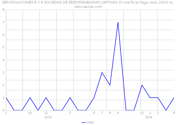 SERVISOLUCIONES R Y R SOCIEDAD DE RESPONSABILIDAD LIMITADA (Costa Rica) Page visits 2024 